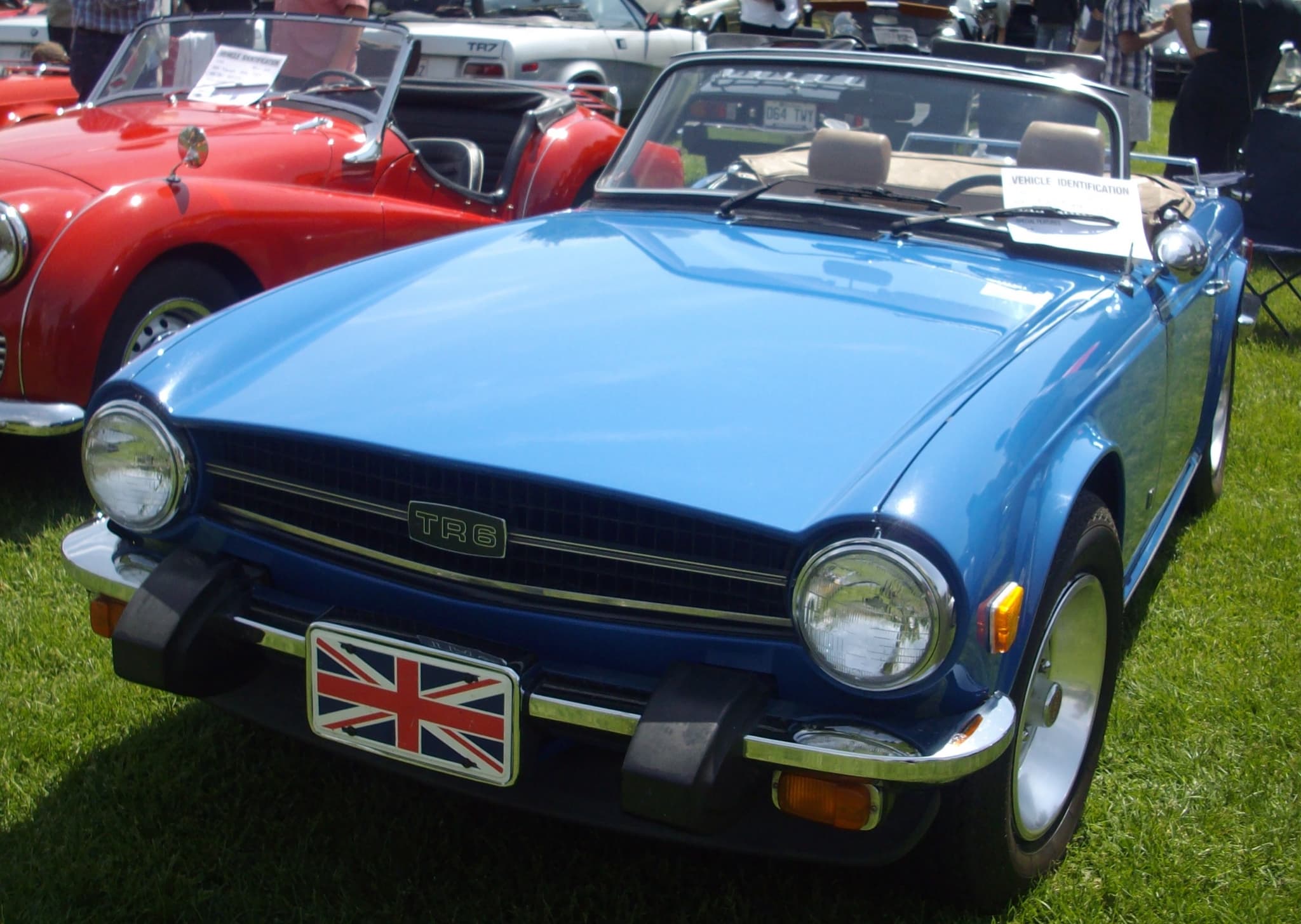 A blue Triumph TR6 with black rubber bumper guards and the indicators below the bumper, on a sunny show lawn.