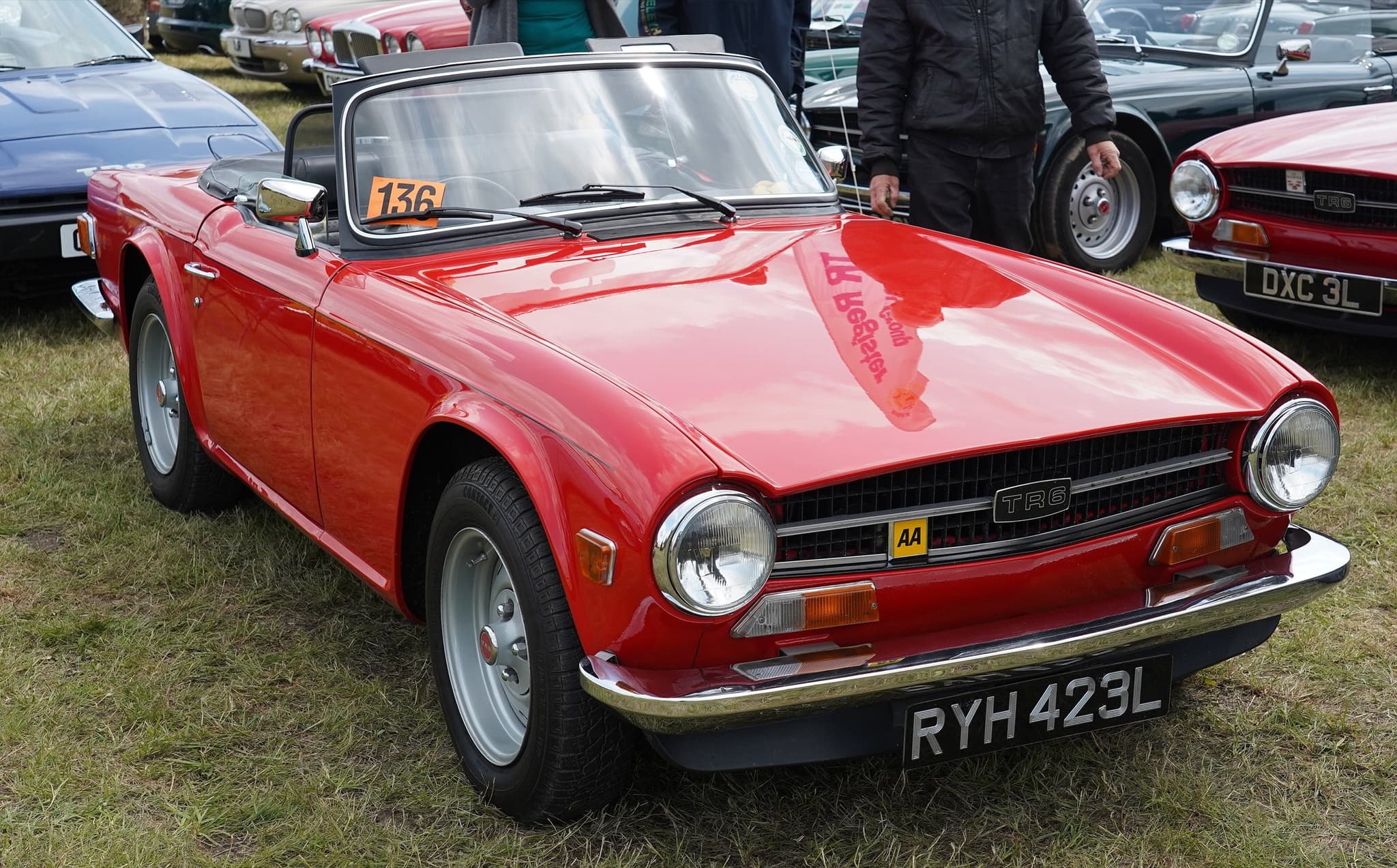 A red Triumph TR6 with the hood folded on the grass at a car show among other Triumphs. Opens a larger view