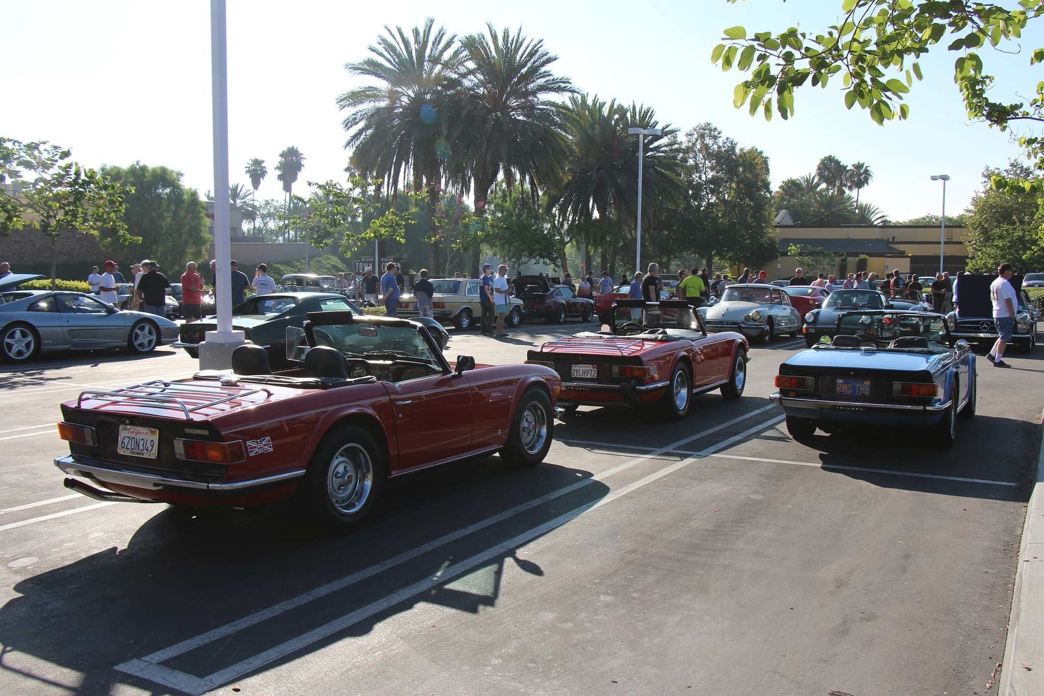 Three Triumph TR6s seen from behind in a car park, palm trees and a car meet beyond, the nearest with a Union flag decal and a luggage rack.