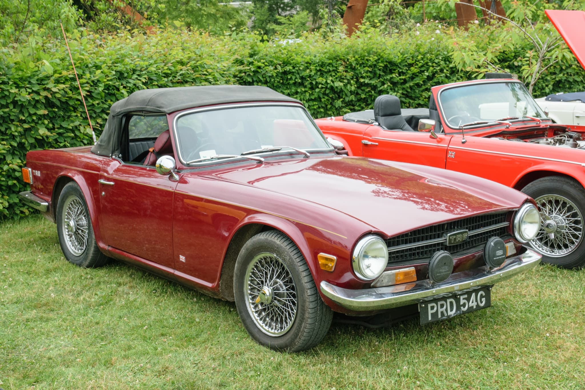 A maroon Triumph TR6 with its black hood up, wire wheels and two covered spot lamps, on grass before a hedge.