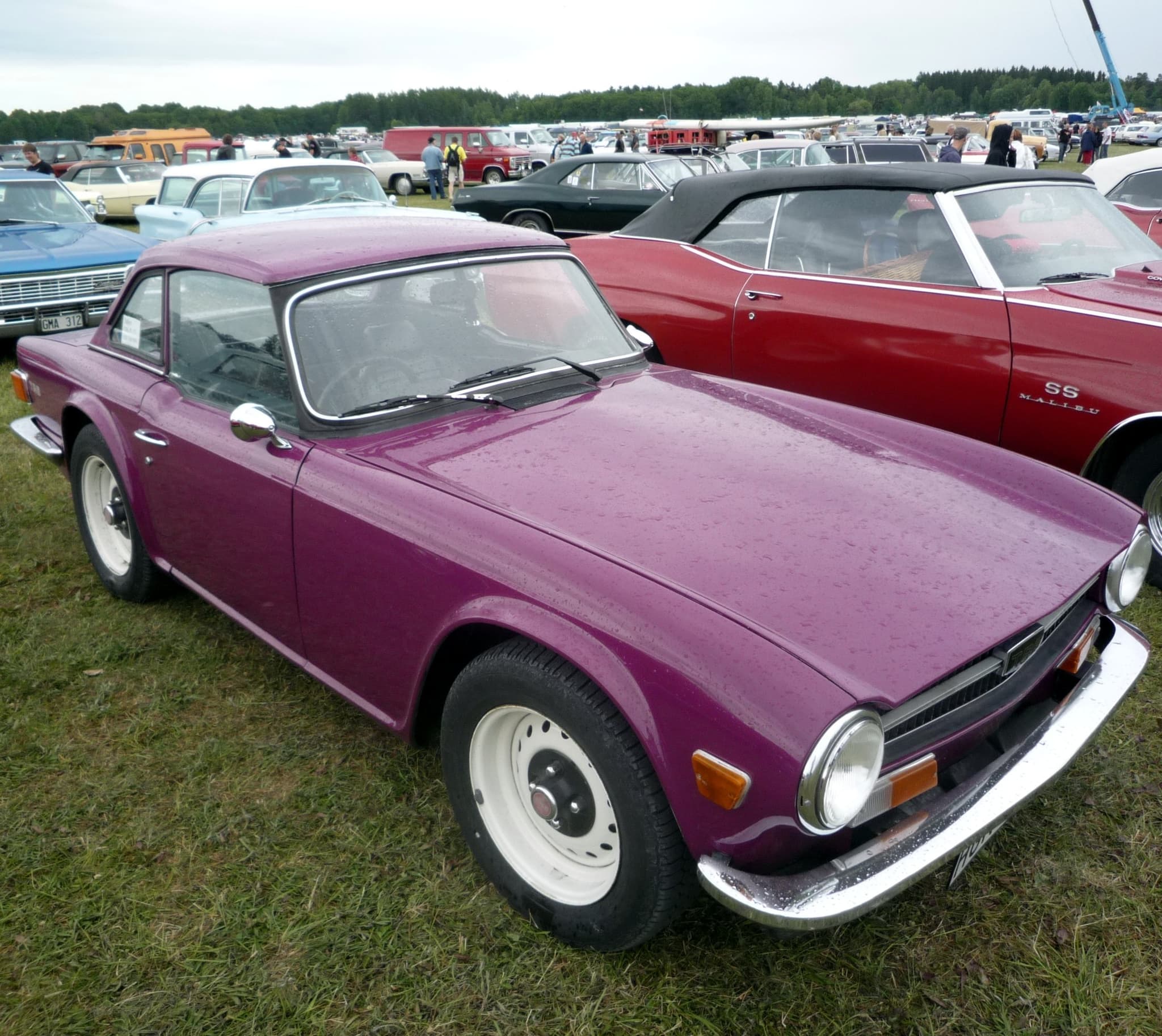 A purple Triumph TR6 with a matching one-piece hardtop and white wheels, on wet grass at a large car meet. Opens a larger view