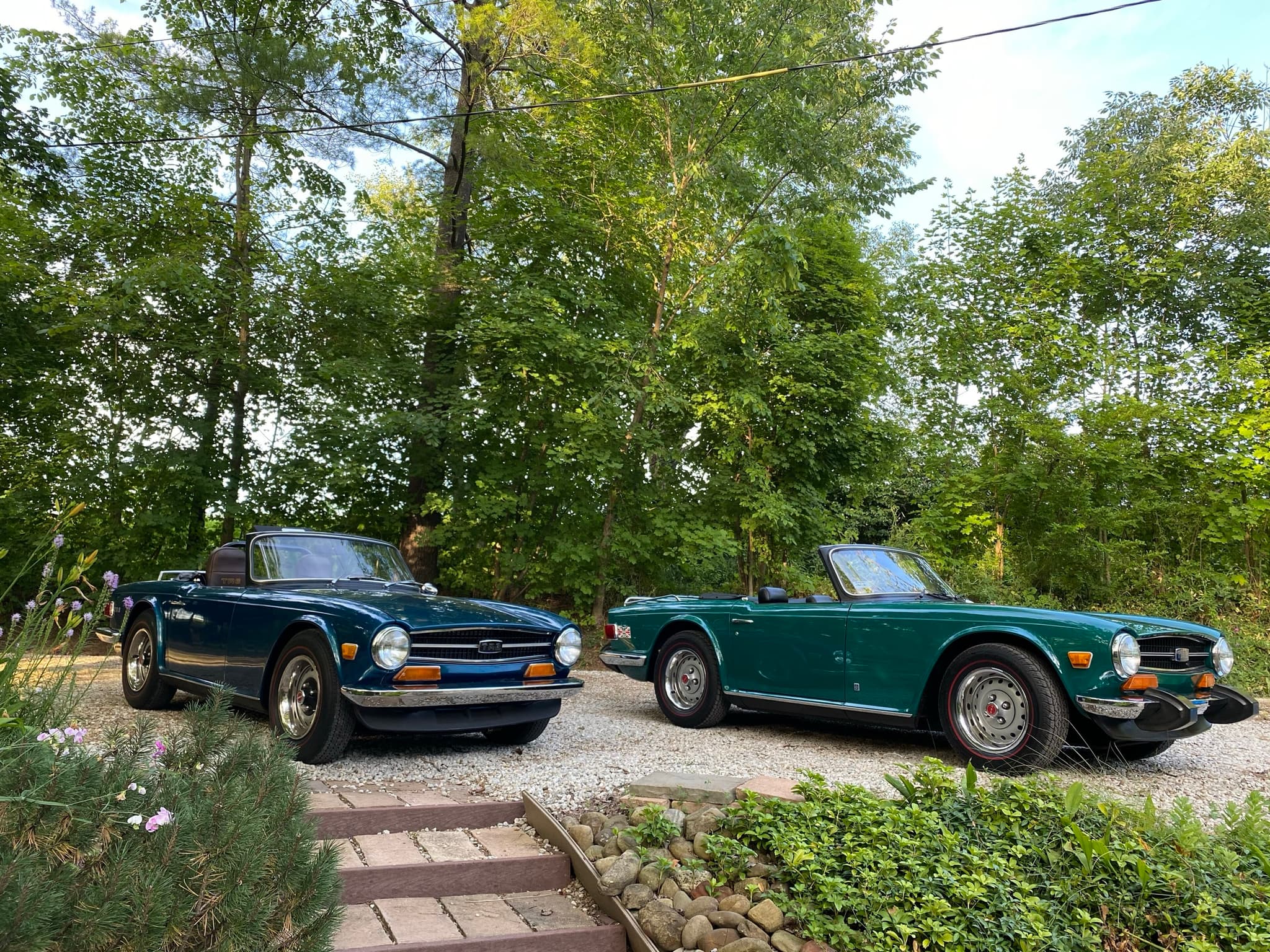 Two Triumph TR6s on a gravel drive among trees: a dark blue one with a plain chrome bumper and a green one with black rubber bumper guards.