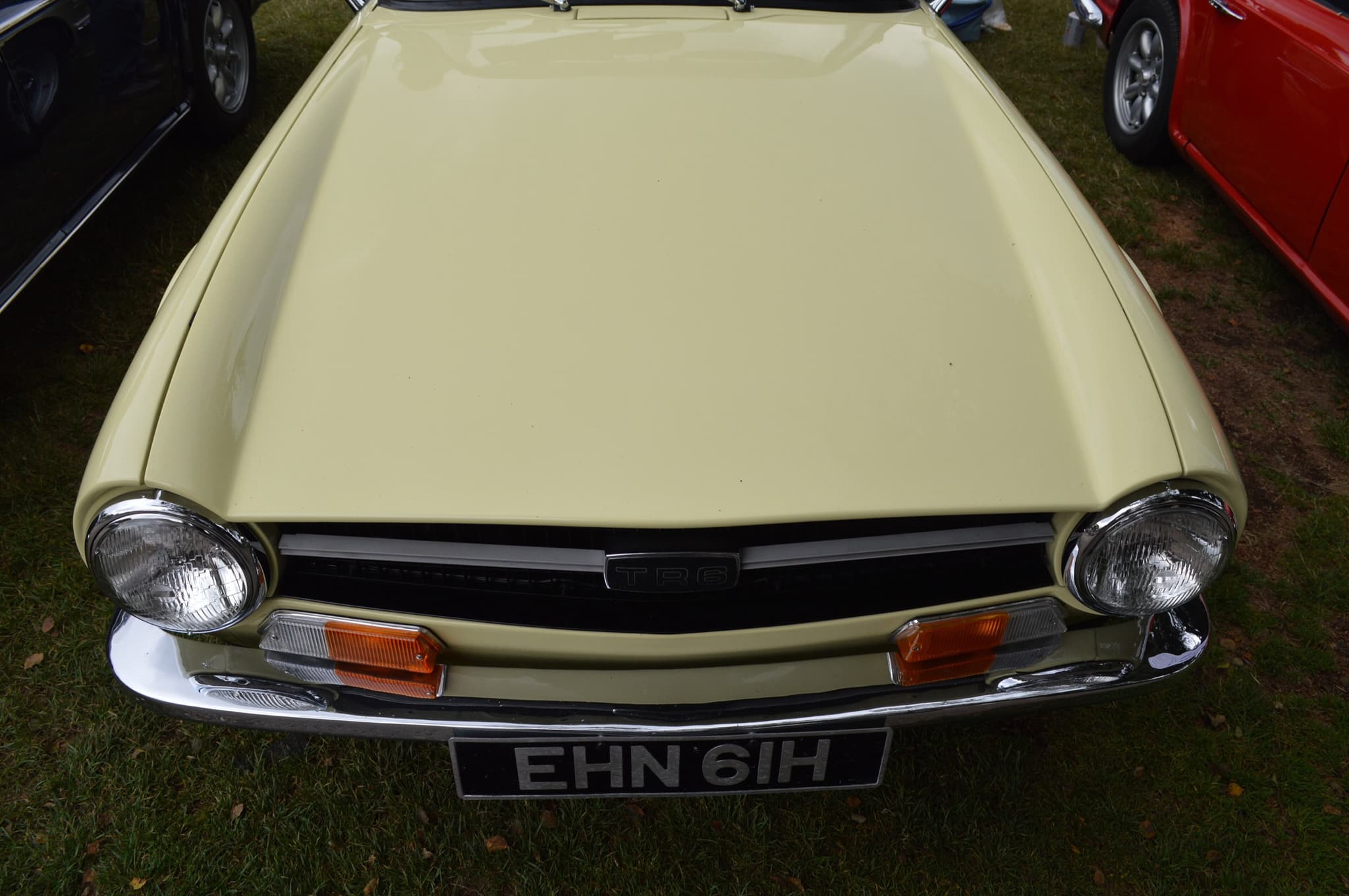 The nose of a cream Triumph TR6 seen from above: a flat bonnet, a full-width black grille and a headlamp at each end.